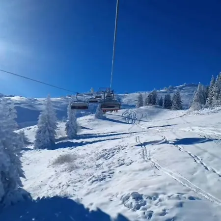 311 Vučko Jahorina