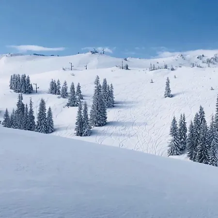 Apartman 311 - U Sklopu Hotela Vucko - Private Host