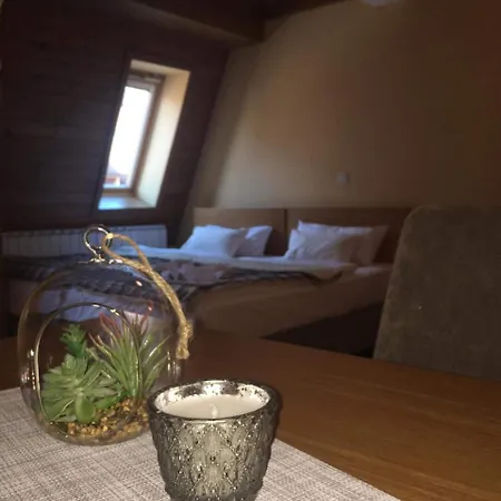 Apartmán 311 Vučko *