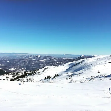 311 Vučko Jahorina